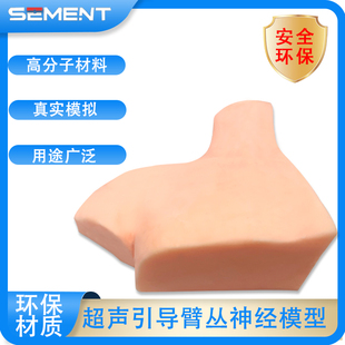 超声引导臂丛神经阻滞模型颈丛臂丛神经穿刺麻醉训练带教演示正品
