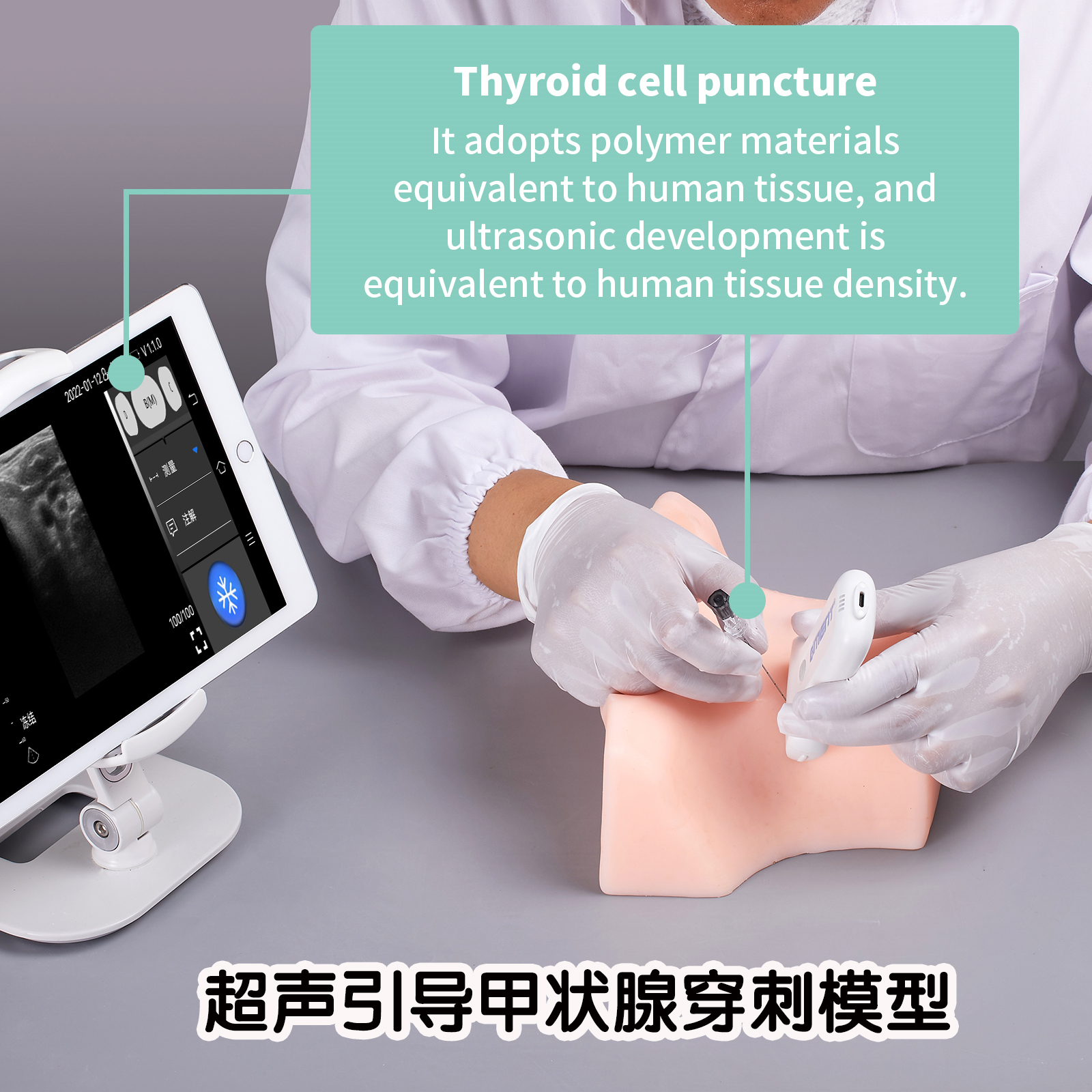 超声引导穿刺模型甲腺浅表肿块细胞组织活检射频消融训练