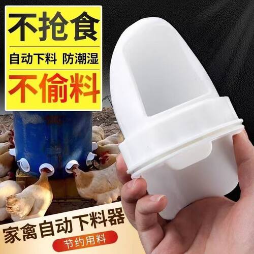 全自动家禽喂食饮水器