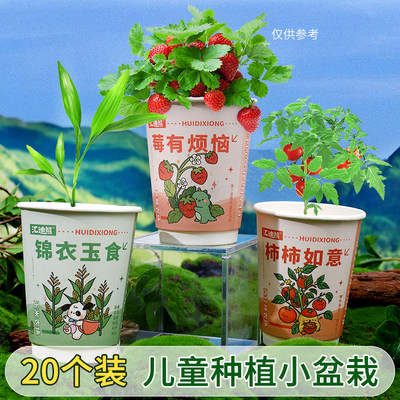 儿童植物盆栽桌面迷你绿植好养创意小盆栽种植草莓向日葵种子