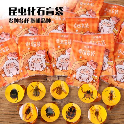 昆虫琥珀礼袋标本琥珀蝎子蜘蛛知了虫珀礼盒原石儿童科学实践礼袋