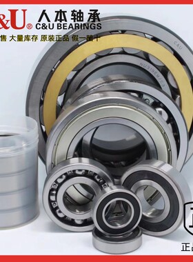 高速电机人本轴承6015 6016 6017 6018 6019 6020 6021-2RS RZ ZZ