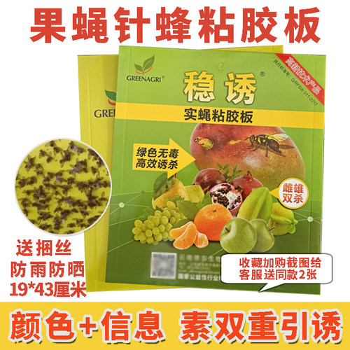 稳诱实蝇粘胶板果蝇贴针蜂粘虫板大食蝇贴果园诱虫板信息素实蝇板 - 封面