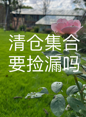 【清仓5-7折】星鹿屿黑檀木簪古风汉服饰品盘发簪子旗袍发饰民族