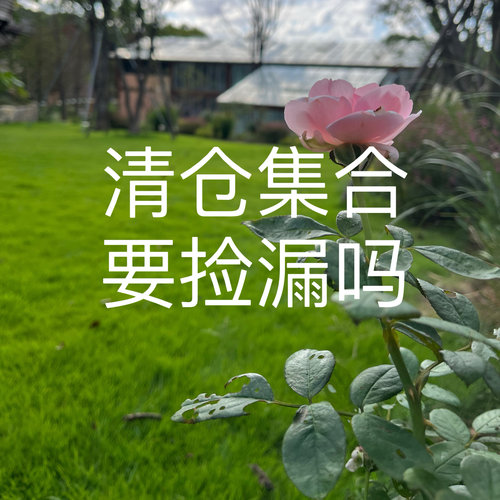 【清仓5-7折】星鹿屿黑檀木簪古风汉服饰品盘发簪子旗袍发饰民族