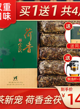 正宗茯砖茶安化黑茶茶叶