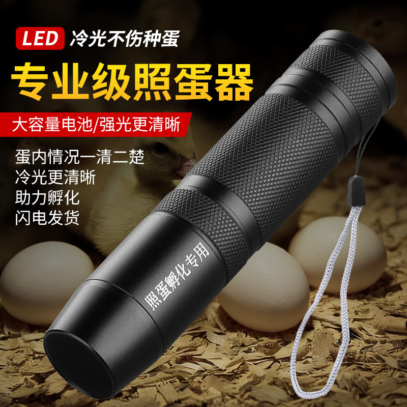 新款照蛋器强光孵化专用鸡蛋验蛋神器穿透冷光照蛋灯LED充电电筒