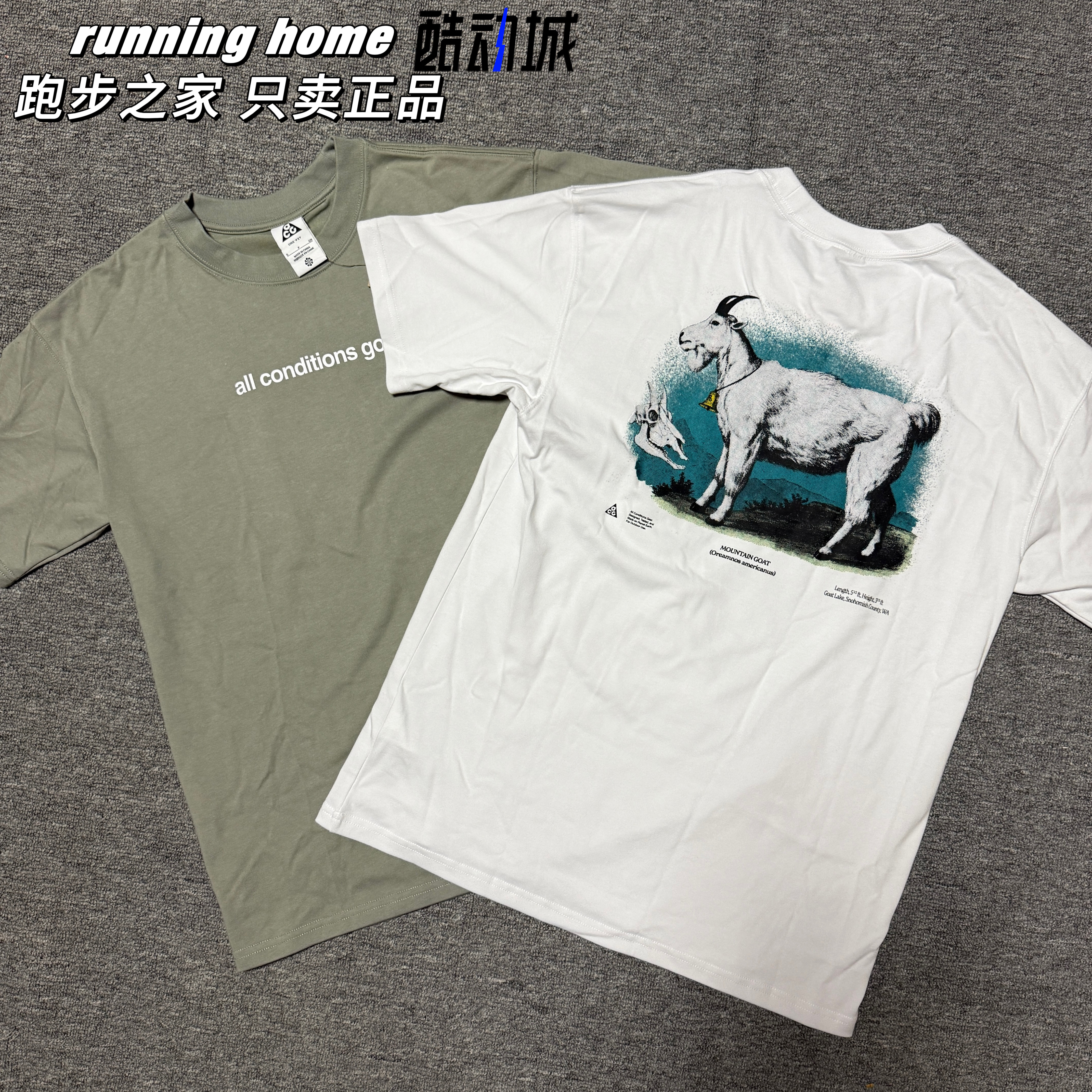 NIKE ACG男子户外潮流运动休闲山羊印花短袖T恤FV3493-053