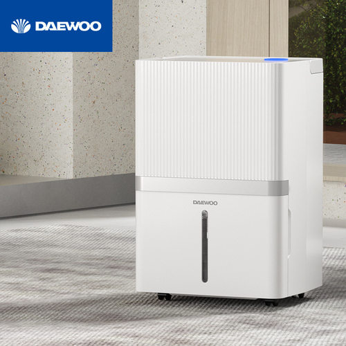 大宇DAEWOO 家用除湿机 室内干燥除潮大功率地下吸湿 DY-CS09