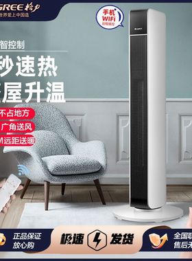 格力暖风机立式遥控卧室取暖器速热节能电暖器冷暖NTFG-X6021B