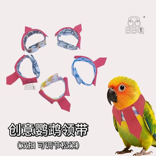 鹦鹉西服领带项圈可调节搞怪穿搭