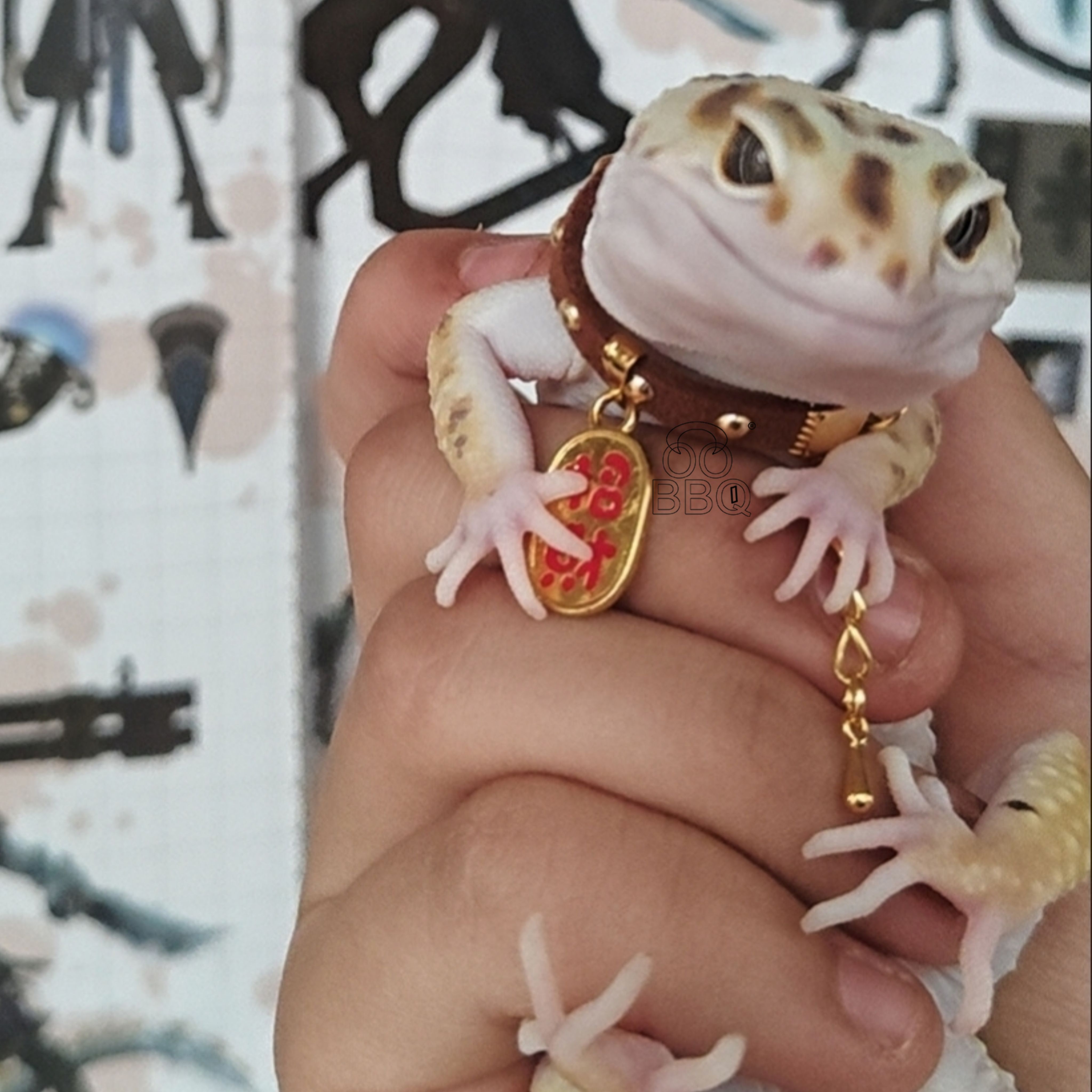 小鳄鱼蜥蜴项圈可调节招财纳福爬宠颈环外出装饰带铃铛守宫项圈