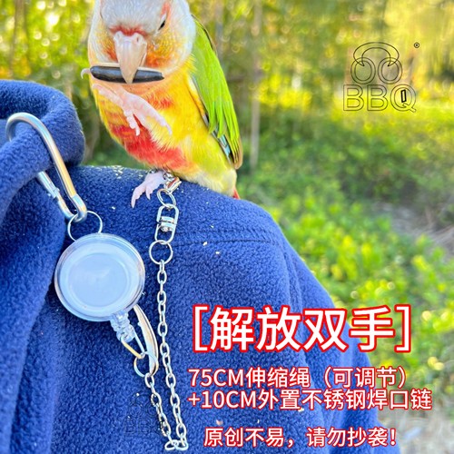 鹦鹉伸缩放飞绳外出遛鸟绳鹦鹉脚链牵引绳便携外带防咬链外出链子