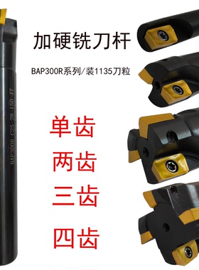 BAP300R C10 12 16 17 21 25 26 28 30铣床刀杆1135刀粒飞刀杆CNC
