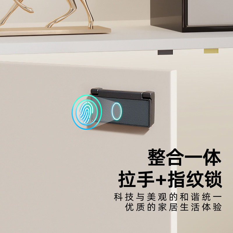抽屉指纹锁入户鞋柜门柜防盗锁床头柜文件柜家用指纹锁隐形拉手款,基础建材,家具锁/抽屉锁/柜门锁,淘宝优惠券,粉丝福利购,淘宝优惠卷