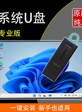 系统u盘win11纯净版电脑重装W10专业家庭新手小白一键装机64G3.0U