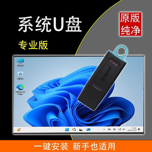 W10专业家庭新手小白一键装 机64G3.0U 电脑重装 系统u盘win11纯净版