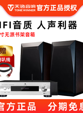 Winner/天逸童笛S2音箱发烧无源HIFI书架箱高保真搭配AD-66D功放