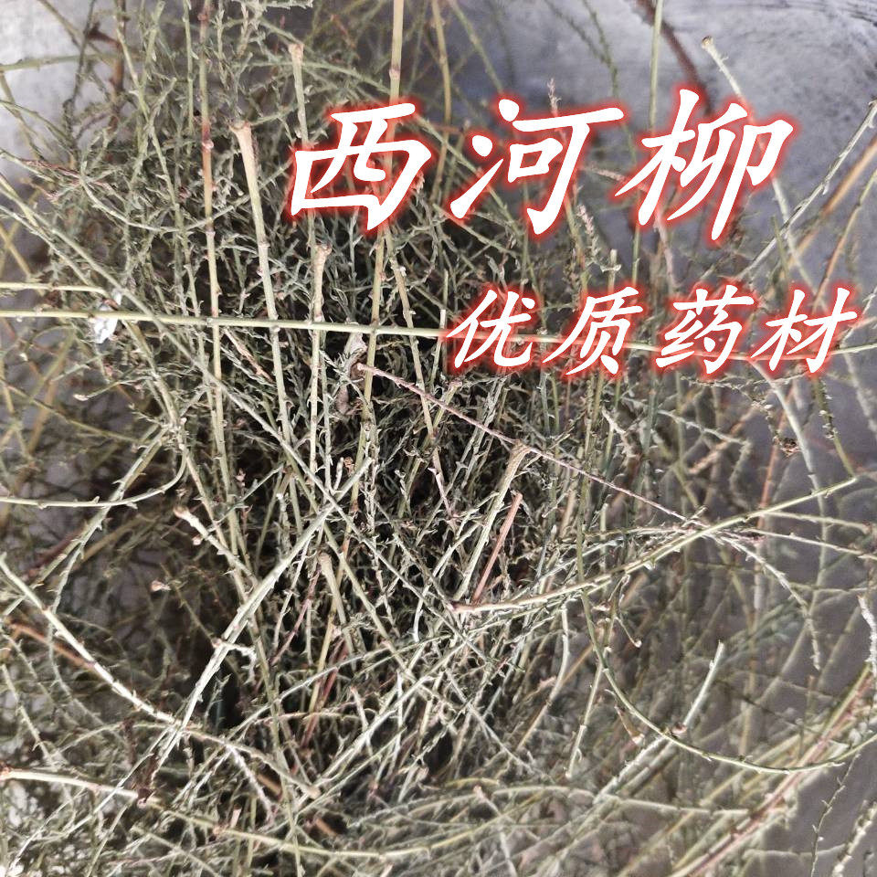 新货西河柳中药材观音柳怪柳红筋条赤怪柳三春柳西湖柳500g