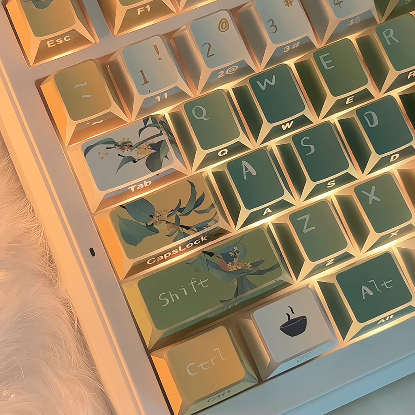 金桂乌龙折影棱角透光侧刻键帽图片