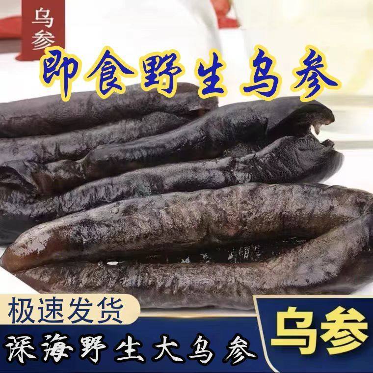 新鲜大乌参海参茄参海茄子家用海海参