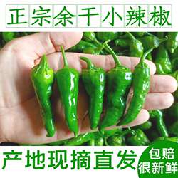 5斤正宗江西余干小辣椒新鲜农家余干枫树薄皮土辣椒1斤青椒特蔬菜