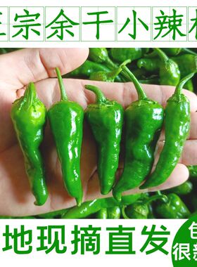 5斤正宗江西余干小辣椒新鲜农家余干枫树薄皮土辣椒1斤青椒特蔬菜