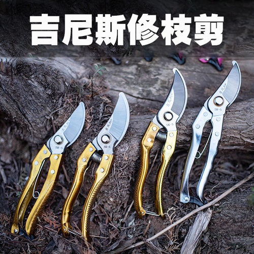 园林手动工具果树修枝剪子盒装吉尼斯园艺树枝剪刀剪定侠果枝剪