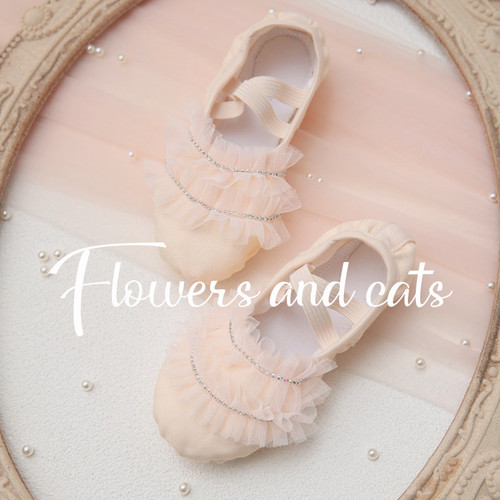 新款儿童舞蹈鞋软底练功芭蕾女童