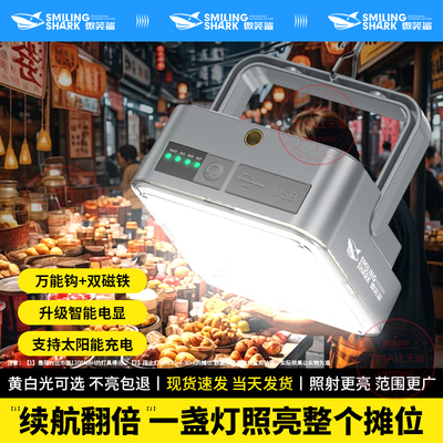 led超长续航柔光露营灯