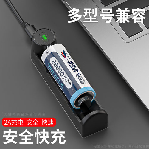 锂电池通用单槽充电器