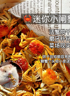【DKJESSI】烘干小闸蟹迷你螃蟹补钙长肉肉金丝熊花枝鼠零食仓鼠