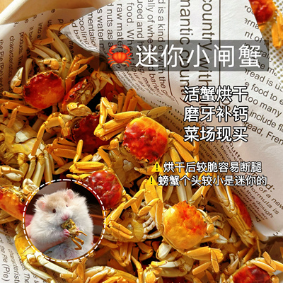 【DKJESSI】烘干小闸蟹迷你螃蟹补钙长肉肉金丝熊花枝鼠零食仓鼠