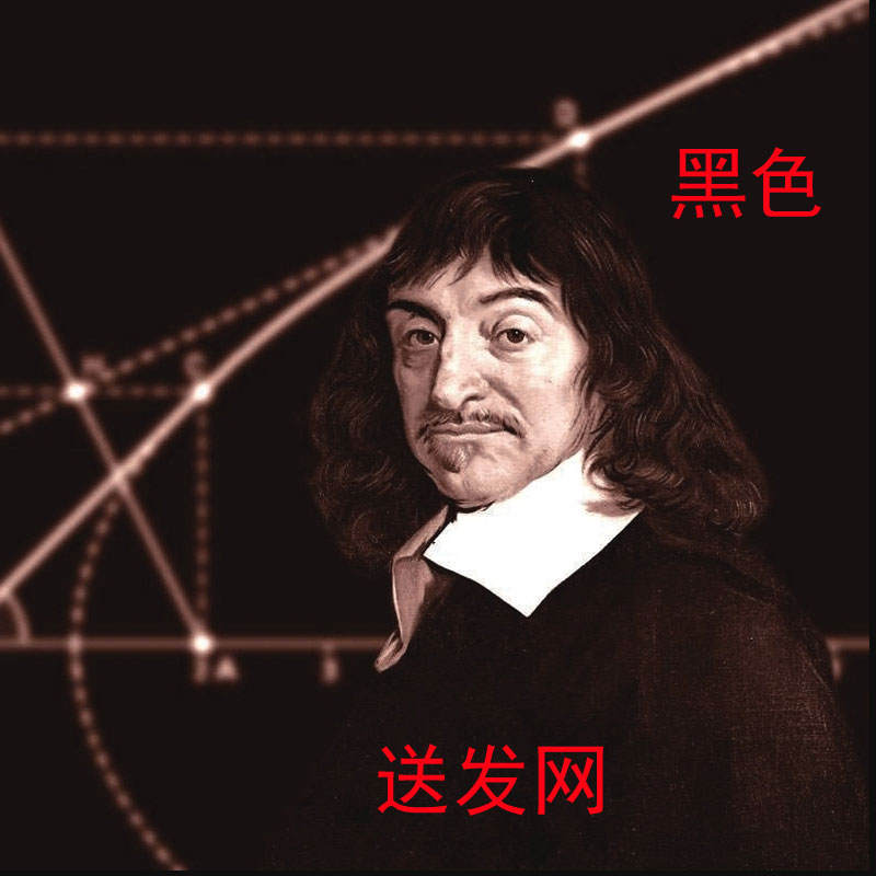 笛卡尔同款假发尾长卷发表演造型