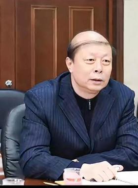 中年人最后的倔强一缕发丝同款假发套地中海秃头表演搞笑搞怪道具