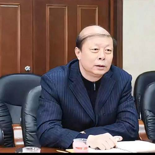 中年人地中海秃头表演节目假发套