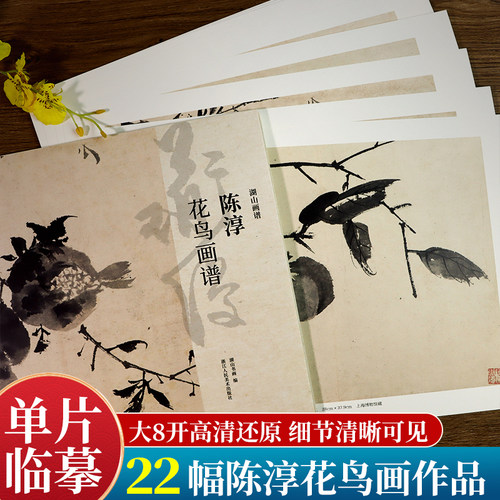 湖山画谱 陈淳花鸟画谱 单片散装/册页立轴/散页盒装高清还原/可临摹鉴赏装饰收藏 陈淳花卉册页精品画集精选国画临摹卡正版书籍