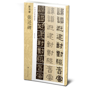 张迁碑(高清原碑帖+技法教程) 新书谱中国书法基础教程 基本笔画结构/偏旁部首/简体旁注 成人初学者入门临摹隶书毛笔书法教材字帖