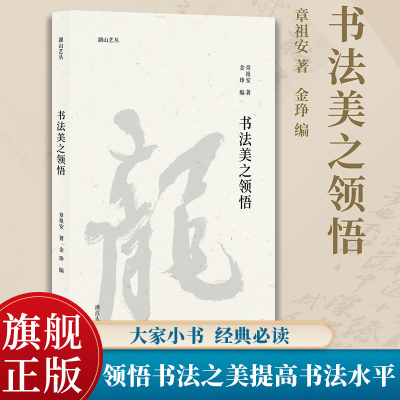 书法美之领悟 湖山艺丛 书法家章祖安谈论书法审美及相关理论问题专集图文并茂语言朴实可读性指导性俱佳领悟书法之美提升书法水平