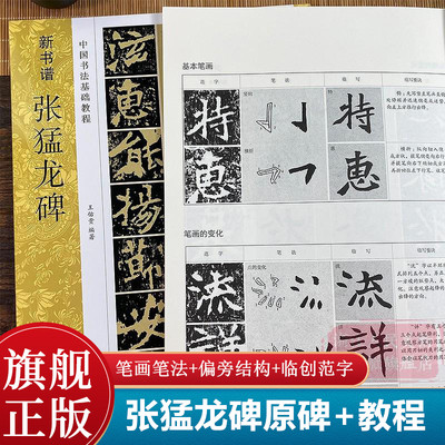 张猛龙碑(高清原碑帖+技法教程) 新书谱书法基础教程 基本笔画结构/偏旁部首/简体旁注 魏碑成人初学者入门临摹楷书毛笔书法字帖