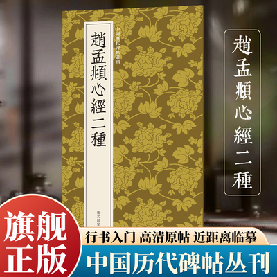 赵孟頫心jin二种 行书临摹必备高清原碑帖+近距离临摹可平摊毛笔书法字帖入门笔意临摹教材范本基础教程旗舰正版中国历代碑帖丛刊