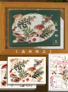 森林物志 吉积原创植物花卉风景插画 14张日番美绘创意复古清新治愈插画作品明信片感受对大自然的热爱以及对悠然生活的向往