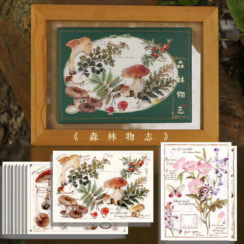 森林物志 吉积原创植物花卉风景插画 14张日番美绘创意复古清新治愈插画作品明信片感受对大自然的热爱以及对悠然生活的向往