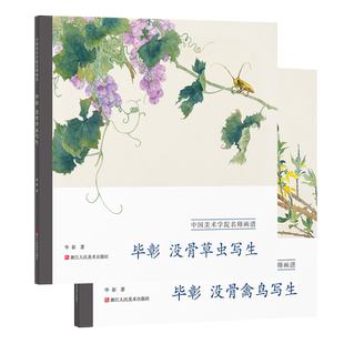 毕彰没骨禽鸟写生+没骨草虫写生全2册 中国美术学院名师画谱 绘画技法训练步骤解析临摹教材 国画爱好者花鸟写生技法 精品临学范本