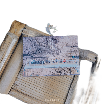 四季予你 摄影师@MoLana 28张摄影作品 大自然中四季变换春夏秋冬出类艺术明信片创意唯美自然风景文艺小清新贺卡插画集文创装饰