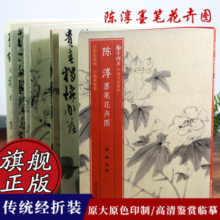 裱临摹赏玩皆宜 经折装 绘有八种花卉 中国画典范范本绘画作品赏析爱好者教程 中国名绘集珍丛书 原色高清印制细节装 陈淳墨笔花卉图