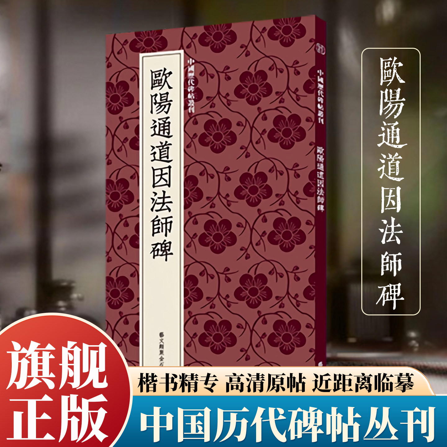 欧阳通道因法师碑 欧阳通楷书代表作高清原碑帖+近距离临摹可平摊毛笔书法字帖楷书入门临摹教材范本基础教程 中国历代碑帖丛刊