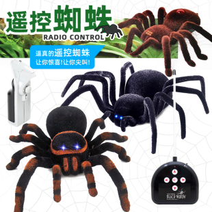 儿童电子宠物整蛊吓人玩具电动爬行礼物大号遥控蜘蛛毛绒仿真模型