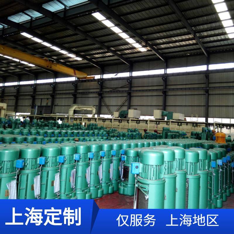 定制BCD1型5吨防爆钢丝绳电动葫芦2顿升高9m工作级别M防爆葫芦