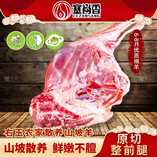 塞尚香右玉羊肉羔羊前腿  整羊腿 羊前腿 农家散养新鲜羊肉 2kg